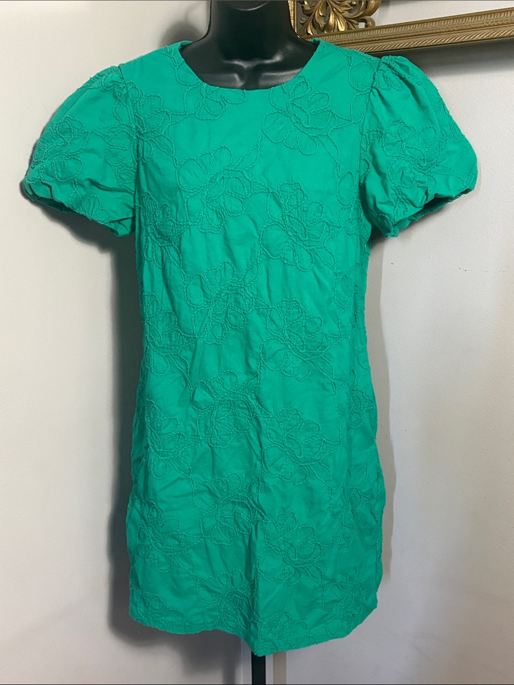 J Crew Size 10 Dublin Green Eyelet Puff Sleeve Floral Embroidery Dress